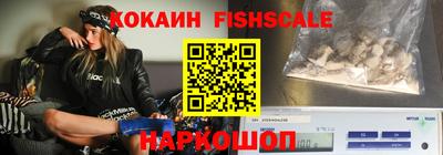 индика Можга