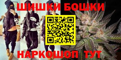 индика Можга