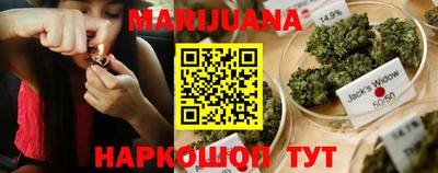индика Можга