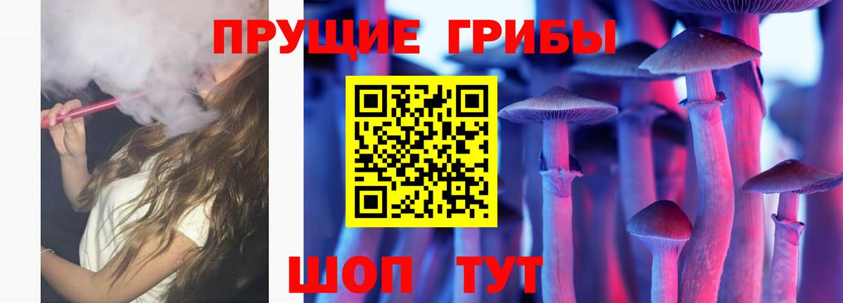 Псилоцибиновые грибы Psilocybine cubensis Советская Гавань